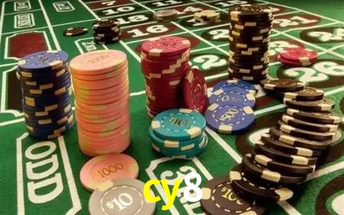 cy8 bet
